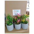 HG-WT057 - MACETAS CON PLANTAS ARTIFICIALES (24/1)