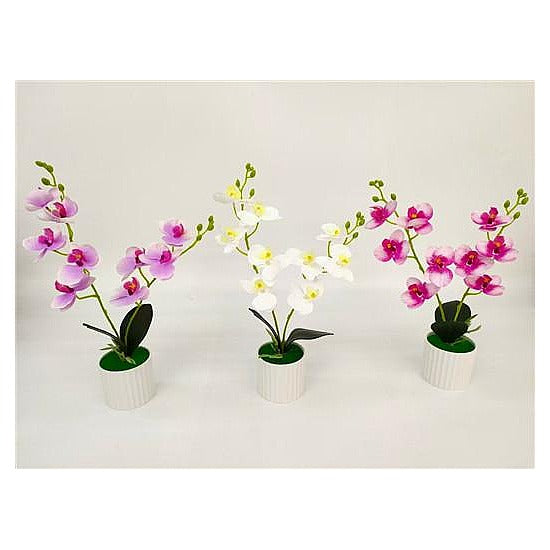 HG-HHF31 - MACETAS CON ORQUÍDEAS ARTIFICIALES (144/1)