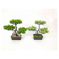 HG-HHF20 - BONSÁI ARTIFICIAL DECORATIVO (72/1)