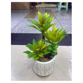 HG-DC-D11 - PLANTA ARTIFICIAL EN MACETA BLANCA (48/1)