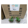 HG-WT012 - TERRARIOS DE VIDRIO CON SUCULENTAS (48/1)