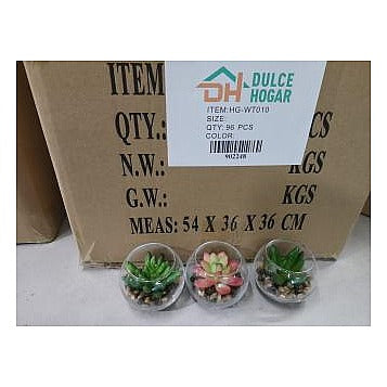 HG-WT010 - MINI TERRARIOS DE VIDRIO CON SUCULENTAS (96/1)