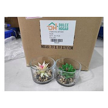 HG-WT009 - SUCULENTAS ARTIFICIALES EN VASO DE VIDRIO (36/1)