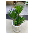 HG-DC-D10 - PLANTA ARTIFICIAL EN MACETA DECORATIVA (48/1)