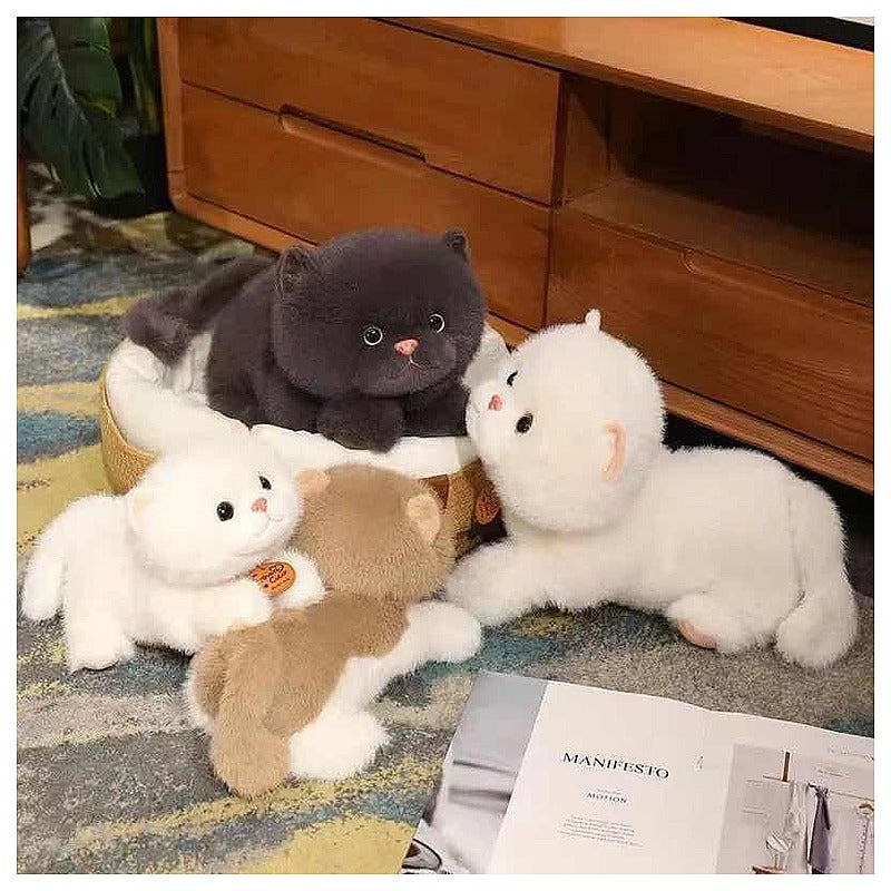 JR-ST122 - PELUCHES DE GATOS REALISTAS (240/1)