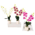 HG-HHF28 - ORQUÍDEAS ARTIFICIALES EN MACETAS (72/1)