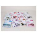 OC-MCA04 - SACHET PERFUMADO SURTIDO (720/1)