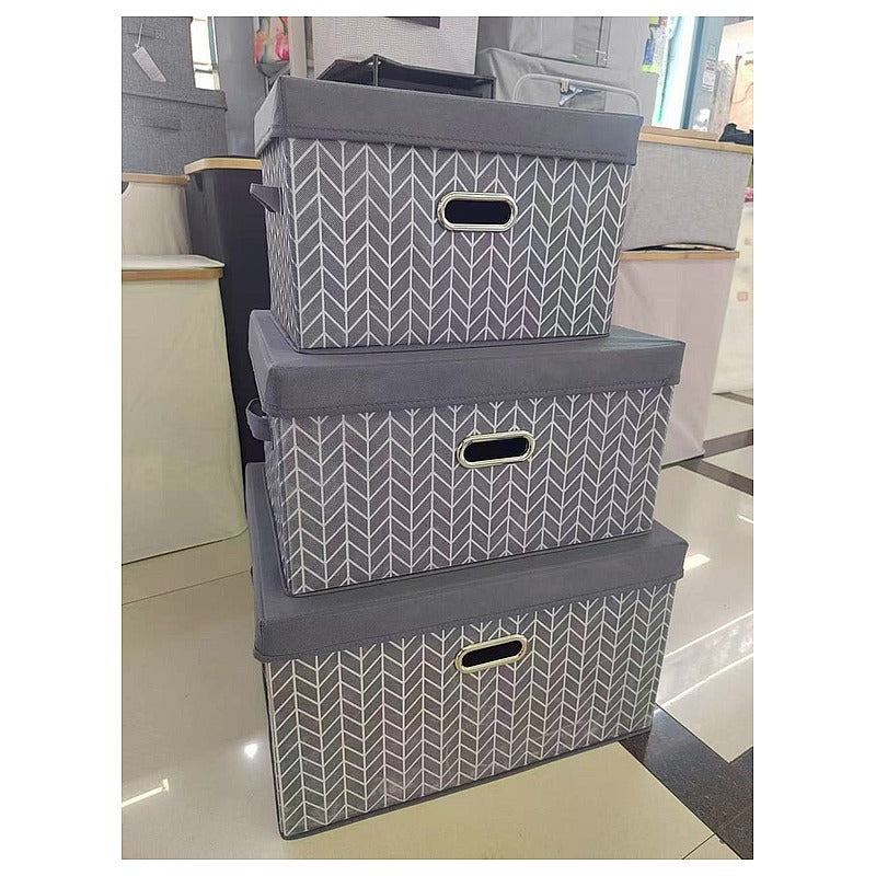 H-JY003 - CAJAS ORGANIZADORAS CON TAPA (20/1)