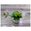 HG-SP1-6 - SUCULENTA ARTIFICIAL EN MACETA BLANCA (96/1)