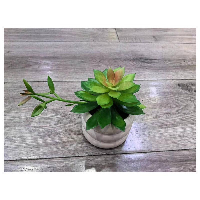 HG-SP1-6 - SUCULENTA ARTIFICIAL EN MACETA BLANCA (96/1)