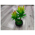 HG-SP1-14 - PLANTA ARTIFICIAL SUCULENTA EN MACETA (48/1)