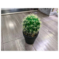 HG-SP1-17 - CACTUS DECORATIVO ARTIFICIAL PEQUEÑO (96/1)