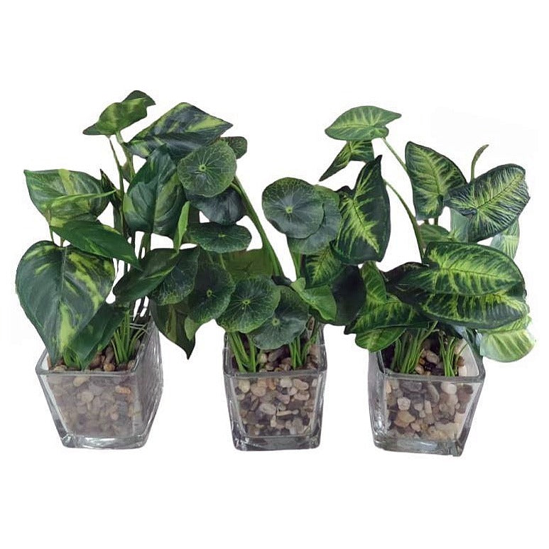 HG-WT062 - SET DE PLANTAS ARTIFICIALES EN MACETA (48/1)
