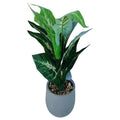HG-WT069 - PLANTA DECORATIVA ARTIFICIAL EN MACETA (12/1)