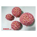 HG-WFF27 - BOLAS DECORATIVAS DE FLORES ROSAS (45/1)