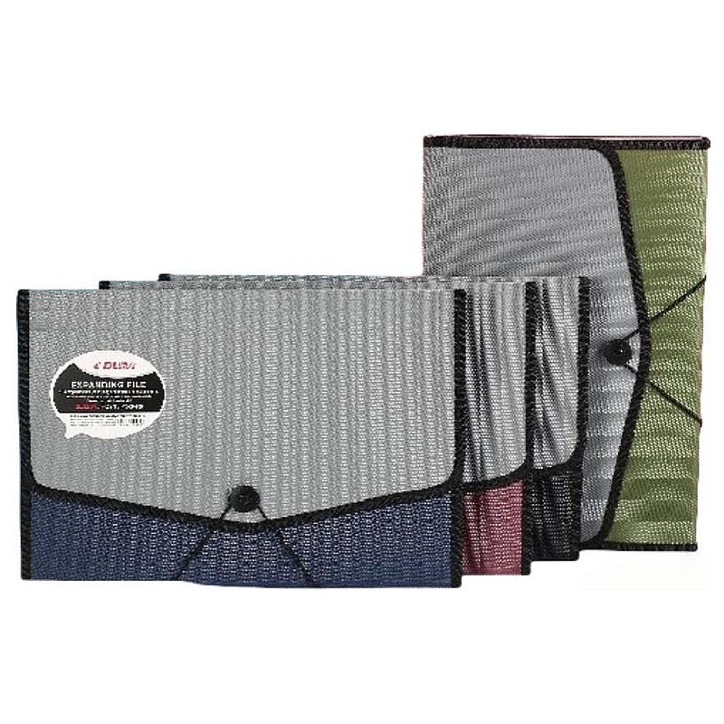 DLS-099 - CARPETA ACORDEÓN MULTICOLOR (60/1)