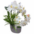 HG-YFF46 - PLANTA ARTIFICIAL CON ORQUÍDEAS BLANCAS (24/1)