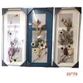 HP- XSW08 - CUADROS DECORATIVOS CON FLORES PRENSADAS (20/1)