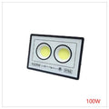 RZ-LED2 - REFLECTOR LED 100W IP66 (30/1)