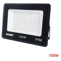 IP-RFL2 - REFLECTOR LED 100W IP66 (20/1)