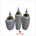 LT-AC-284 - JUEGO DE JARRONES DECORATIVOS DORADOS (24/1)