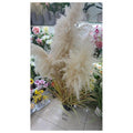 HG-YFF40 - PLANTA ARTIFICIAL DE PAMPAS (4/1)