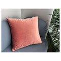 PL04-06 - COJÍN DECORATIVO DE TERCIOPELO ROSA (5/1)
