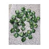 HG-WFF10 - GUIRNALDA DE HOJAS VERDES (200/1)
