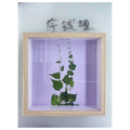 H-BCP96 - CUADRO DECORATIVO CON PLANTA PRENSADA (24/1)