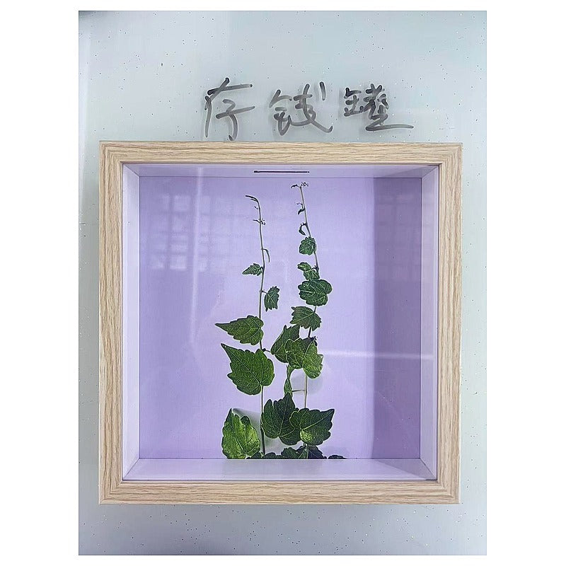 H-BCP96 - CUADRO DECORATIVO CON PLANTA PRENSADA (24/1)