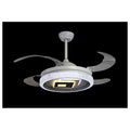 IP-FG95 - VENTILADOR DE TECHO CON LUZ LED (5938/1)