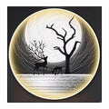 JHP-014 - CUADRO DECORATIVO CON LUZ LED (20/1)