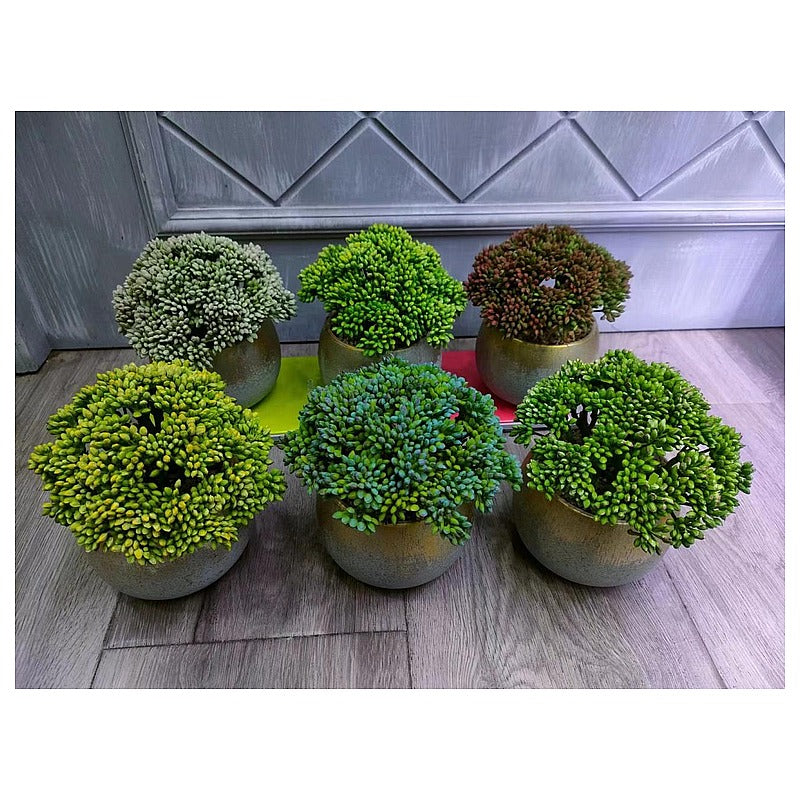 H-XWF05 - PLANTA SUCULENTA ARTIFICIAL EN MACETA (72/1)