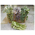 H-XWF16 - PLANTAS COLGANTES ARTIFICIALES (72/1)