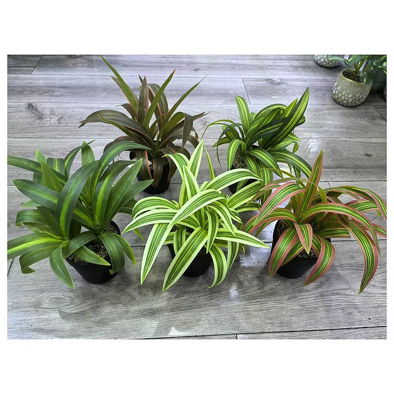 H-XWF21 - MACETAS CON PLANTAS DECORATIVAS (96/1)