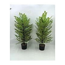 H-XWF35 - PLANTAS ARTIFICIALES EN MACETA (72/1)