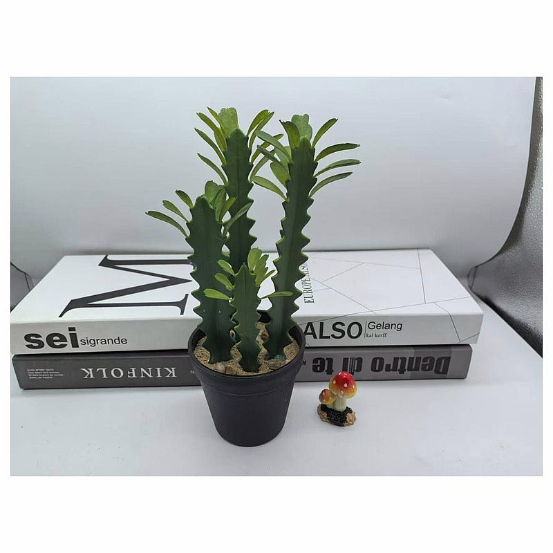H-XWF27 - PLANTA DECORATIVA EN MACETA NEGRA (72/1)