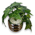 GY32260 - PLANTA ARTIFICIAL EN MACETA DE VIDRIO (0320000000435/1)