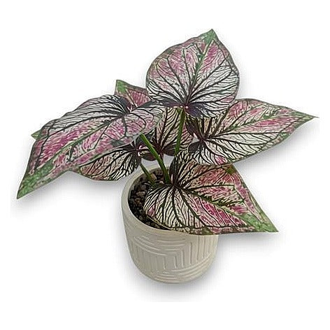 GY32254 - PLANTA ARTIFICIAL EN MACETA (0320000000429/1)