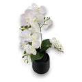 GY34267 - ORQUÍDEA ARTIFICIAL EN MACETA (0340000000269/1)