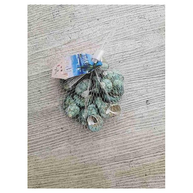 GY32-009 - CARCASA AF-005 120G (150/1)