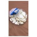 GY32-017 - A-035 CONCHAS 150G (200/1)