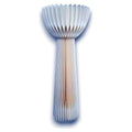 GY32 -050 - FIGURA (4/1)
