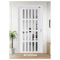BM-NZ15 - PUERTA PLEGABLE 2.1*0.9 6M (1/1)