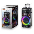 DQ44- 008 - ALTAVOZ PORTÁTIL CON LUCES LED 12" (1/1)