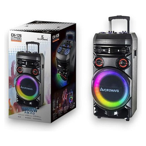 DQ44- 008 - ALTAVOZ PORTÁTIL CON LUCES LED 12" (1/1)