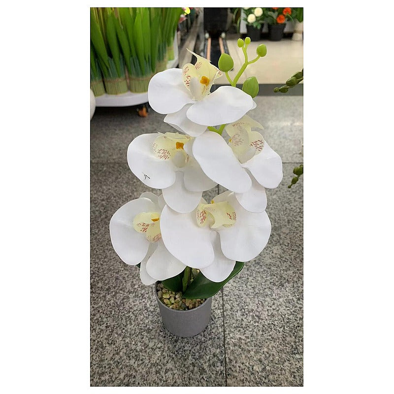 HG-YFF1 - ORQUÍDEA ARTIFICIAL EN MACETA 38 CM (72/1)