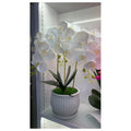 HG-YFF6 - ORQUÍDEA FALSA EN MACETA BLANCA 50 CM (12/1)
