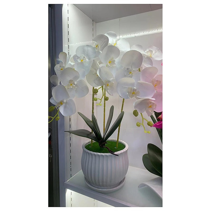 HG-YFF6 - ORQUÍDEA FALSA EN MACETA BLANCA 50 CM (12/1)