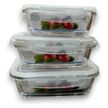 JJ53136 - SET DE RECIPIENTES DE VIDRIO CON TAPA (12/1)